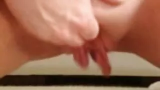 හුරුබුහුටි සුදු නයිජර් විශාල කුකුළා ගනී